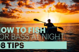 how to fish for bass at night