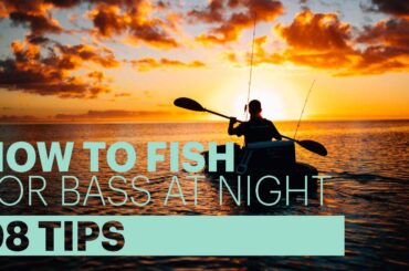 how to fish for bass at night