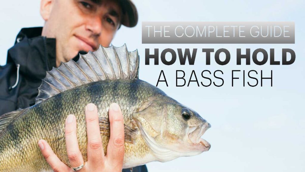 how to hold a bass fish