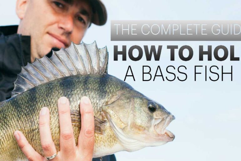 How To Hold A Bass Fish And Handle Like A Pro how to hold a bass fish