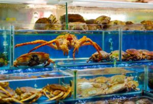 Do Crabs Have Blood? Here are a Few Things You Should Know About Crab Blood.  - Seafoods