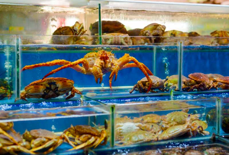 Do Crabs Have Blood? Here are a Few Things You Should Know About Crab ...