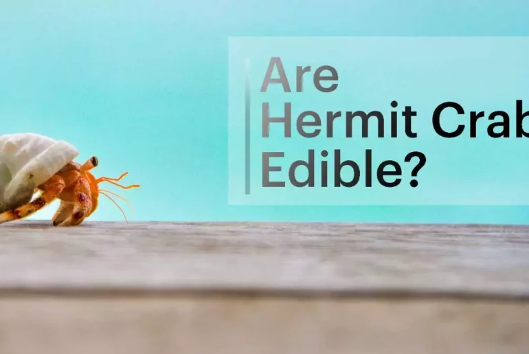 Are Hermit Crabs Edible