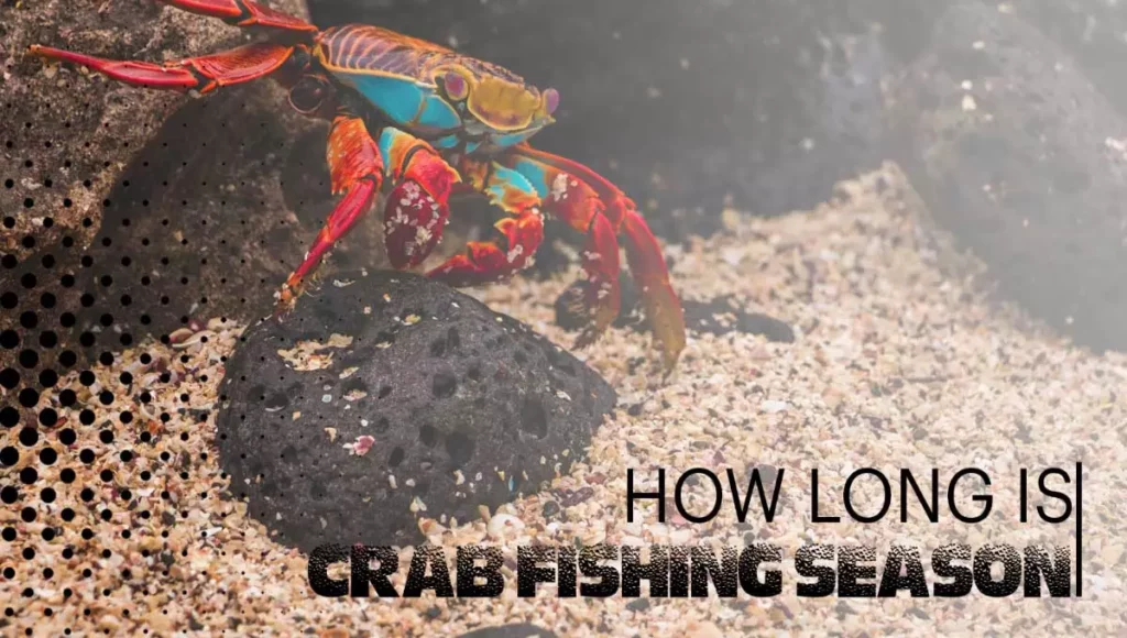 How Long The Crab Fishing Season Is