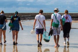 The Best US States For Crabs Fishing