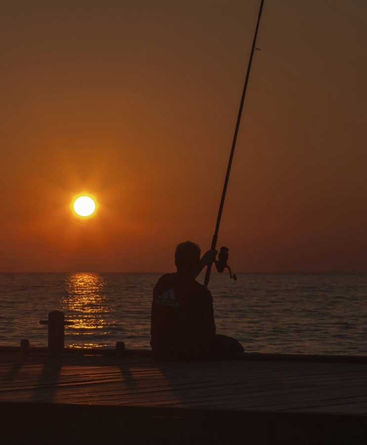 What Are the Best Benefits of Surf Fishing At Night?, The Complete