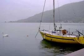 Trout Fishing in the Rain