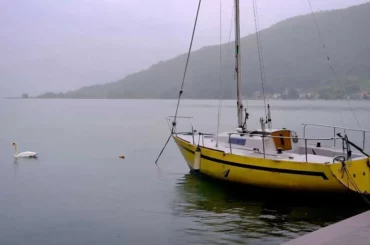 Riding the Waves: Tips for Successful Trout Fishing in the Rain Trout Fishing in the Rain