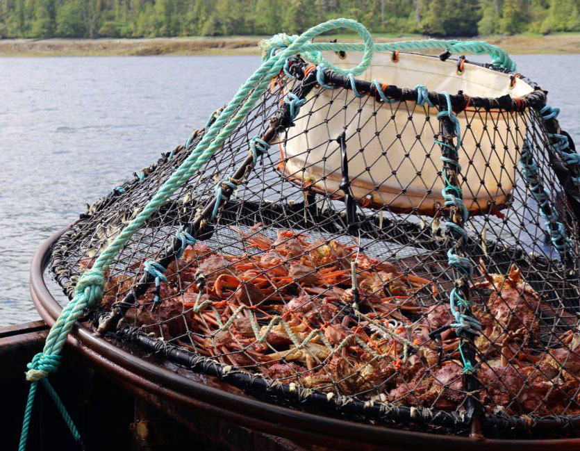 How Long Is Crab Season In Alaska And More Things, You Must Know Seafoods