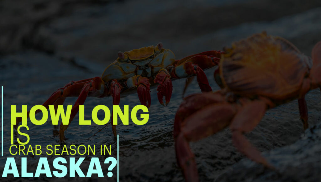 How Long Is Crab Season In Alaska