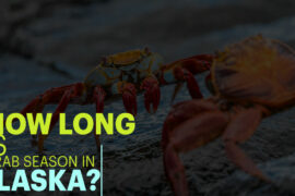 How Long Is Crab Season In Alaska