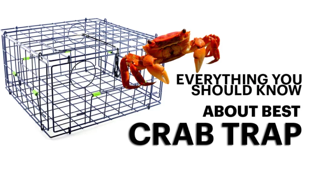 best crab trap design