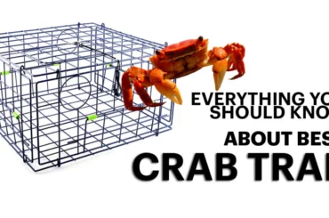 best crab trap design