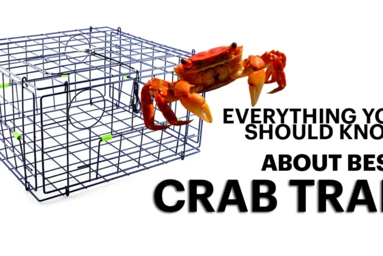 best crab trap design