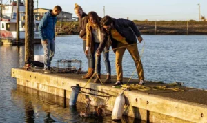 Best Place To Set Up The Danielson Crab Trap